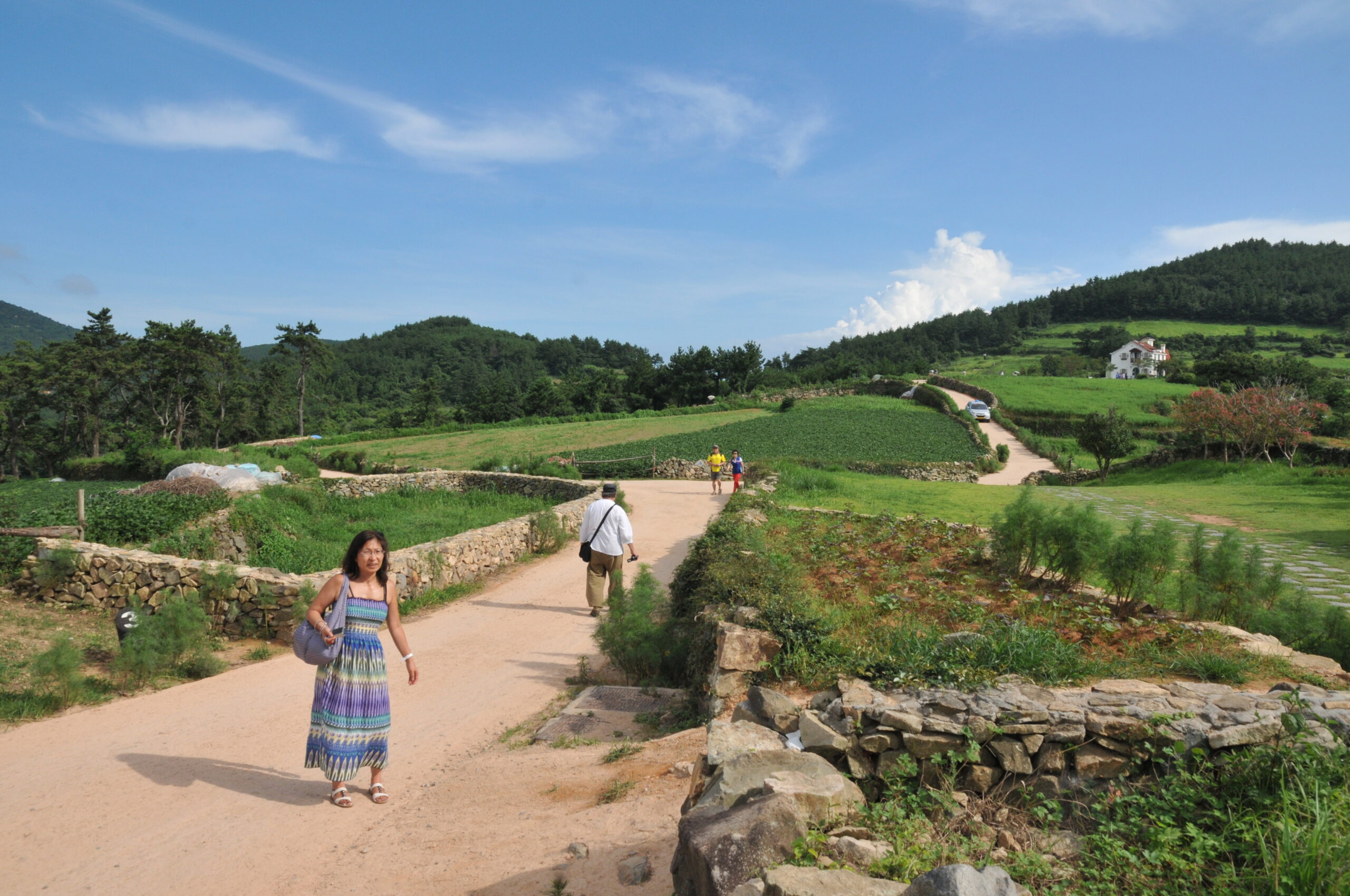 Le poisson à la tête coupée